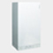 Viessmann Vitopend 100W WH1B